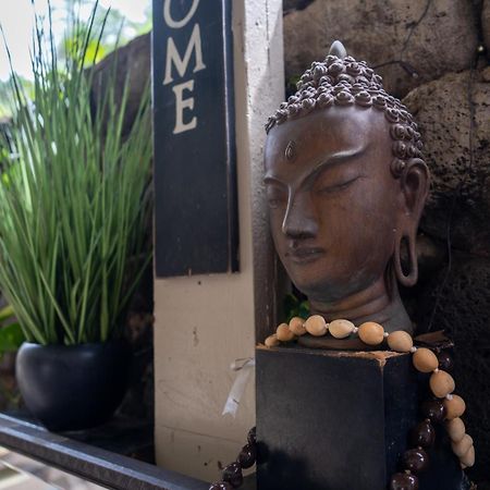 Unit 18 Maui Ohana Modern Studio Wailuku Eksteriør bilde
